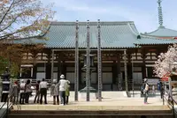 壇上伽藍の写真・動画_image_191349