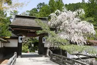 高野山宿坊協会 中央案内所の写真・動画_image_191380