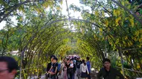 あしかがフラワーパークの写真・動画_image_191387