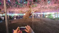 あしかがフラワーパークの写真・動画_image_191389