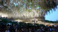あしかがフラワーパークの写真・動画_image_191392