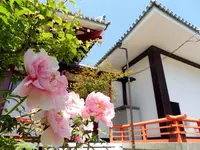 櫟野寺（いちいの観音様）の写真・動画_image_191464