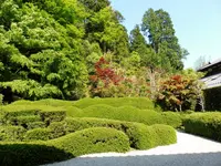 大池寺の写真・動画_image_191484