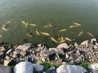 萩城の写真・動画_image_191517