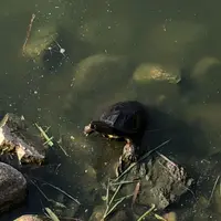 萩城の写真・動画_image_191518