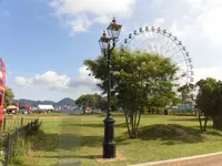 はい！からっと横丁の写真・動画_image_191636