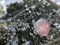 箱根ガラスの森美術館の写真・動画_image_191703