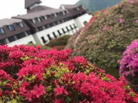 山のホテルの写真・動画_image_191707