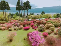 山のホテルの写真・動画_image_191708