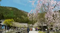 西湖いやしの里の写真・動画_image_192023