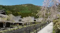 西湖いやしの里の写真・動画_image_192031