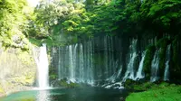 白糸の滝 展望台の写真・動画_image_192076
