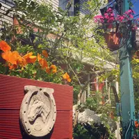 COUNTRY HARVESTの写真・動画_image_192174