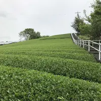 首塚稲荷神社の写真・動画_image_192263