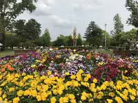 駿府城址の写真・動画_image_192270