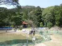 龍泉寺の写真・動画_image_192646