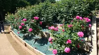 智光山公園の写真・動画_image_192844