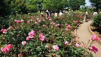 智光山公園の写真・動画_image_192845