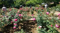 智光山公園の写真・動画_image_192846