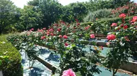 智光山公園の写真・動画_image_192848