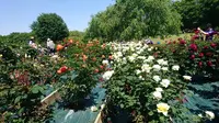 智光山公園の写真・動画_image_192849