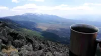 蓼科高原の写真・動画_image_193001