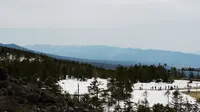 蓼科高原の写真・動画_image_193014