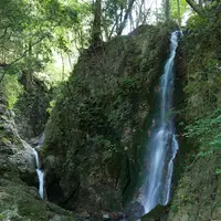聖宝寺の写真・動画_image_193042