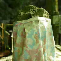 聖宝寺の写真・動画_image_193051