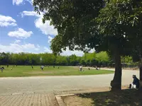城北中央公園の写真・動画_image_193071