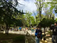 城北中央公園の写真・動画_image_193074