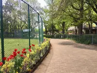 城北中央公園の写真・動画_image_193075