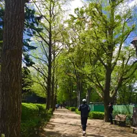 城北中央公園の写真・動画_image_193078