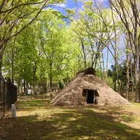 城北中央公園の写真・動画_image_193079