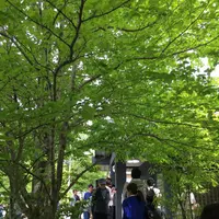 NASU SHOZO CAFEの写真・動画_image_193163