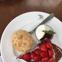 NASU SHOZO CAFEの写真・動画_image_193167