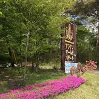 アジアンオールドバザールの写真・動画_image_193192
