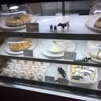 チーズケーキ工房ＭＡＮＩＷＡＦＡＲＭの写真・動画_image_193205