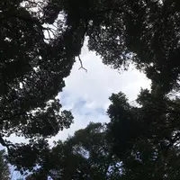 打吹公園の写真・動画_image_193352