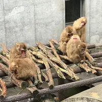 打吹公園の写真・動画_image_193353
