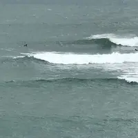 白兎海岸の写真・動画_image_193382