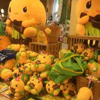 Dole Plantationの写真・動画_image_193588