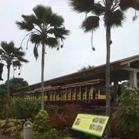 Dole Plantationの写真・動画_image_193593