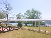 水辺のＨＯＴＥＬ 小さな白い花の写真・動画_image_193640