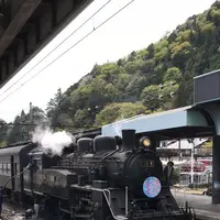 寸又峡温泉の写真・動画_image_193689