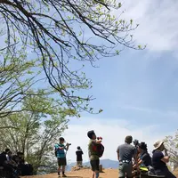 川苔山の写真・動画_image_193694