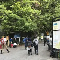 川苔山の写真・動画_image_193695