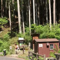 川苔山の写真・動画_image_193696