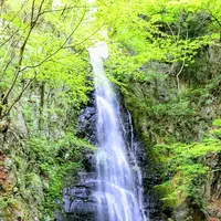 川苔山の写真・動画_image_193697