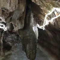 千仏鍾乳洞の写真・動画_image_193721